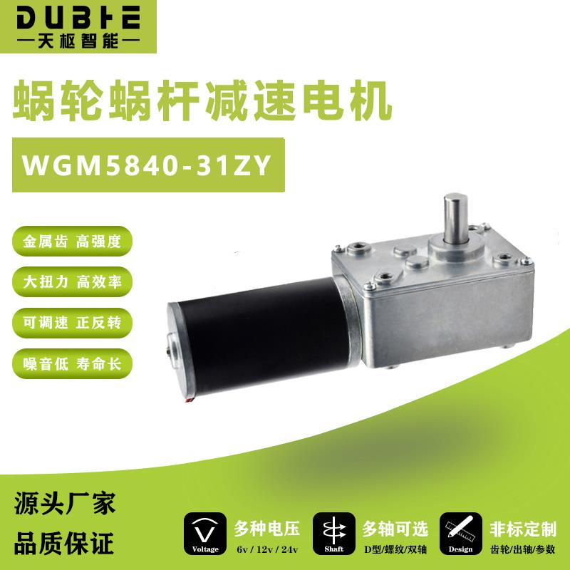 5840-31ZY涡轮蜗杆减速电机微型直流自锁调速慢速静音马达12伏24V