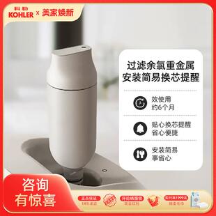 科勒尚思77795/新悦77780智能马桶座便器过滤净水替换滤芯1250837