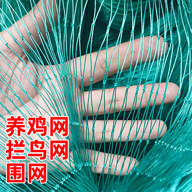 养鸡网塑料网隔离网养殖围栏网尼龙网防护网安全网拦鸡菜园拦鸡网