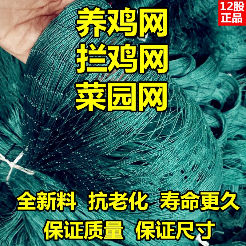 养鸡网拦鸡网围鸡网菜园围网禽养殖网塑料防鸡护栏网尼龙网