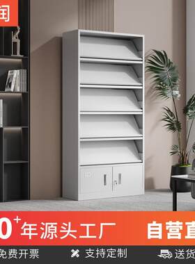 钢制档案期刊架图书馆铁皮报刊报纸柜杂志架多层图书展示柜包邮