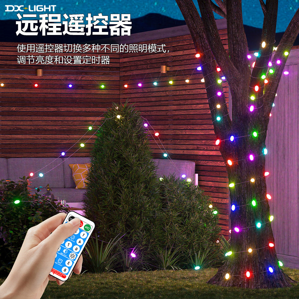 户外防水远程控制幻彩圣诞LED灯
