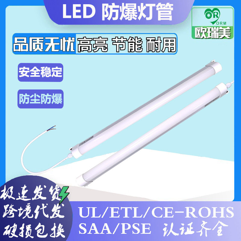 LED防爆防水集装箱日光灯管