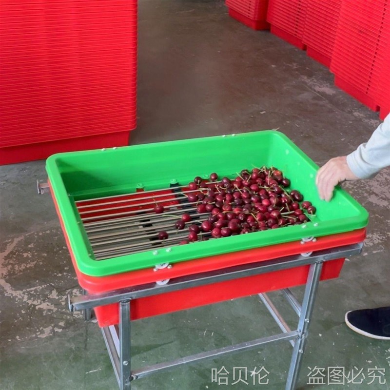 花椒籽过滤筛筛子芝麻滤网筛油菜籽农用商用筛网筛浆机摇
