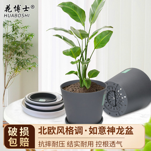圆形月季绣球仿水泥龟背竹塑料