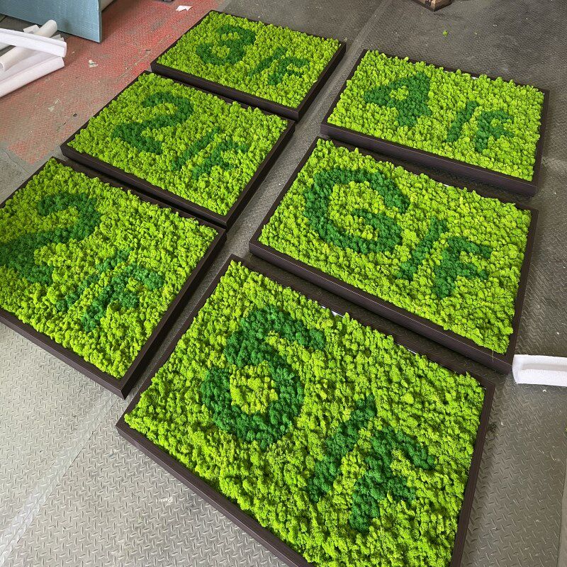 永生苔藓鹿角青苔仿真苔藓背景墙饰绿植景观假草坪