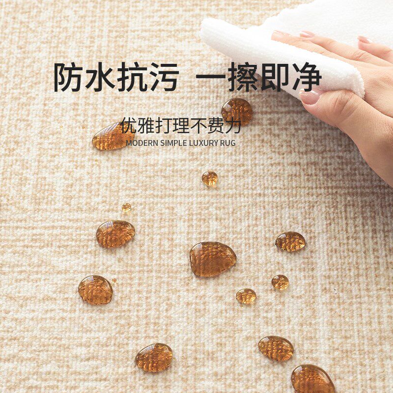 地毯客厅新款纯色侘寂风防水耐脏免洗免打理沙发茶几卧室地垫
