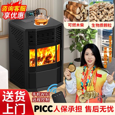 生物质颗粒取暖炉新柴火型款烧木柴冬天室内烟铸铁采暖