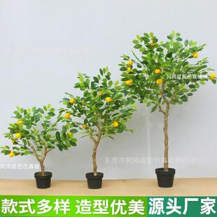 仿真柠檬树橘子树盆栽北欧风仿真果树室内外各类仿真树绿植装饰