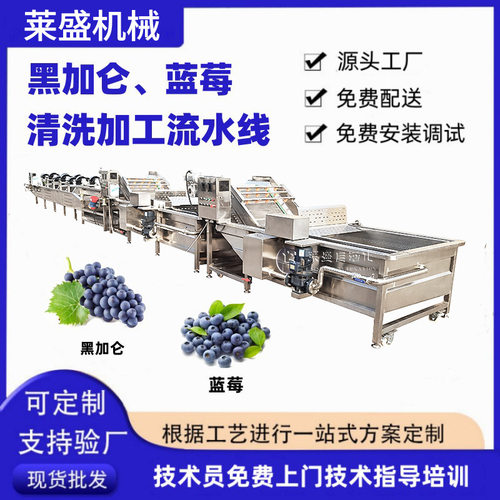 商用黑加仑清洗加工流水线 蓝莓深加工生产线 沙果沙棘果加工设备