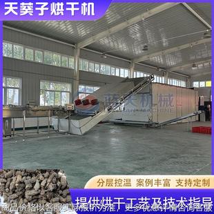 天葵根烘干设备 野乌头子金耗子屎地丁子干燥机 网带天葵子烘干机
