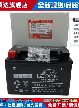 适用铃木骊驰GW250F/S DL250 GSX250R原装电瓶12V8Ah理士蓄电池