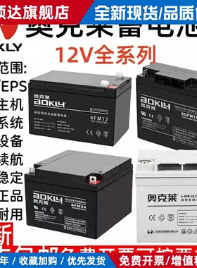 AOKLY奥克莱蓄电池6FM-24 12V18AH20AH24AH38AH40AH65AH100AH电瓶