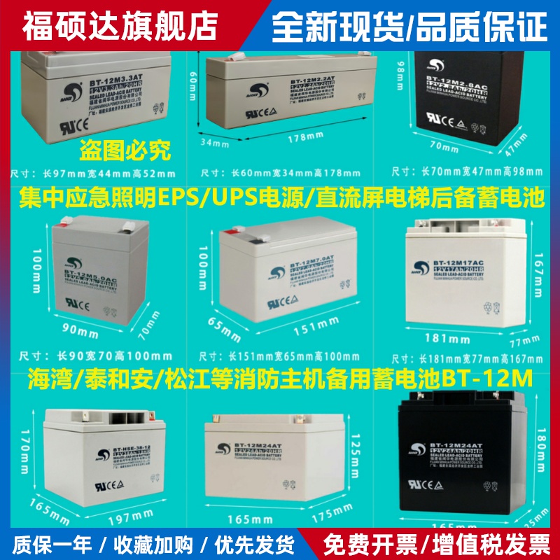 赛特海湾GST松江天成泰和安消防主机EPS应急报警备用蓄电池BT-12M