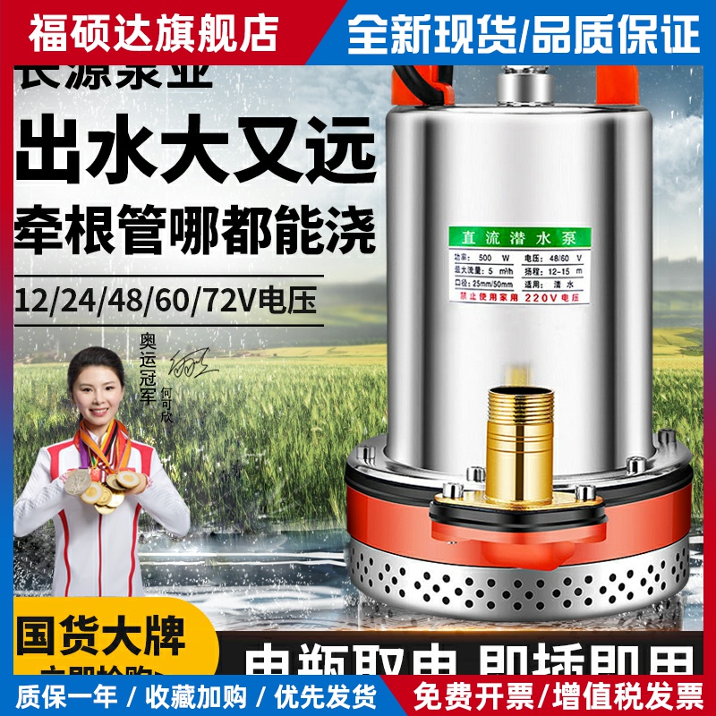 直流潜水泵4860v小型家用浇菜灌溉水泵72v电动车电瓶车通用抽水泵