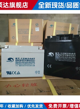 赛特蓄电池BT-12M24AT12V5AH7AH10A12A14AH16A17AH20A24AH33A消防
