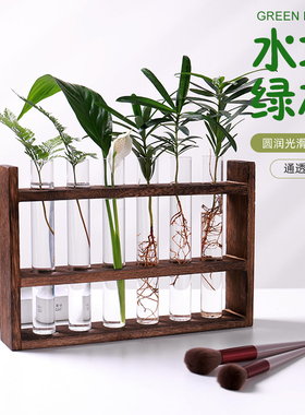 水培试管木质瓶水养绿植插容器木架饰架