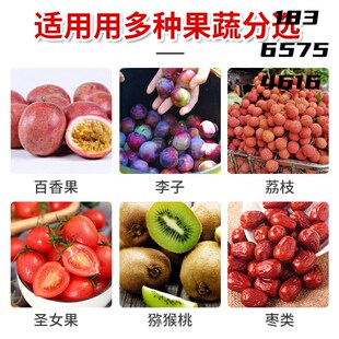 选果动分选果蔬筛选筛果樱桃蓝莓李子百香果水果分级