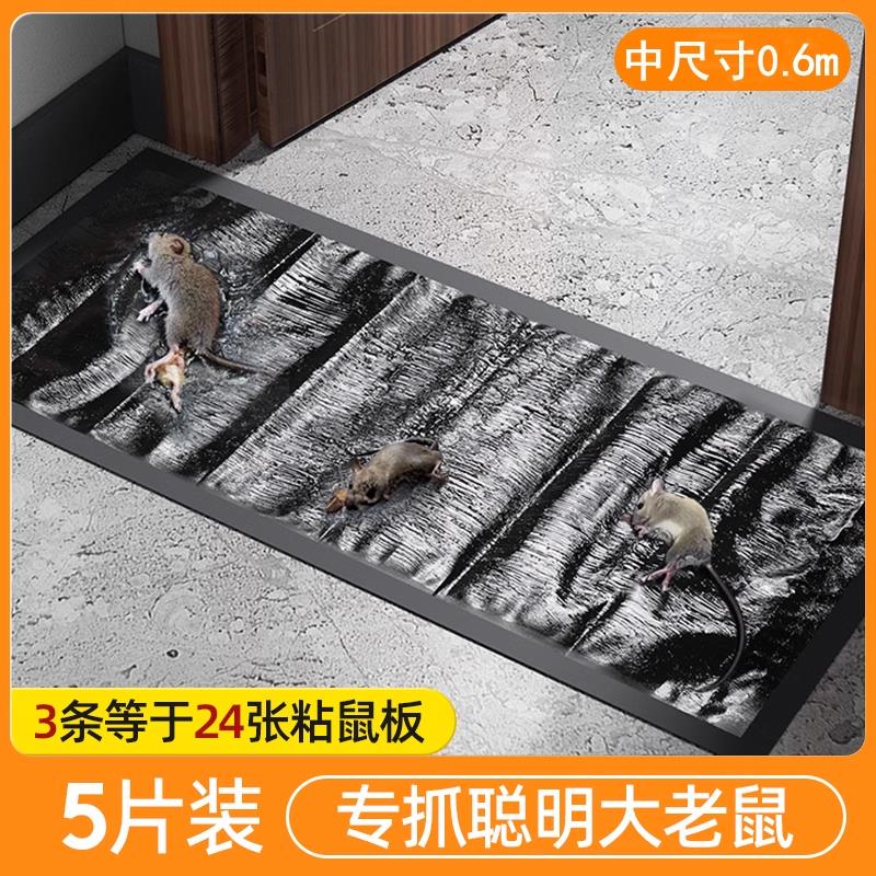 神器强力粘老鼠一窝端家用