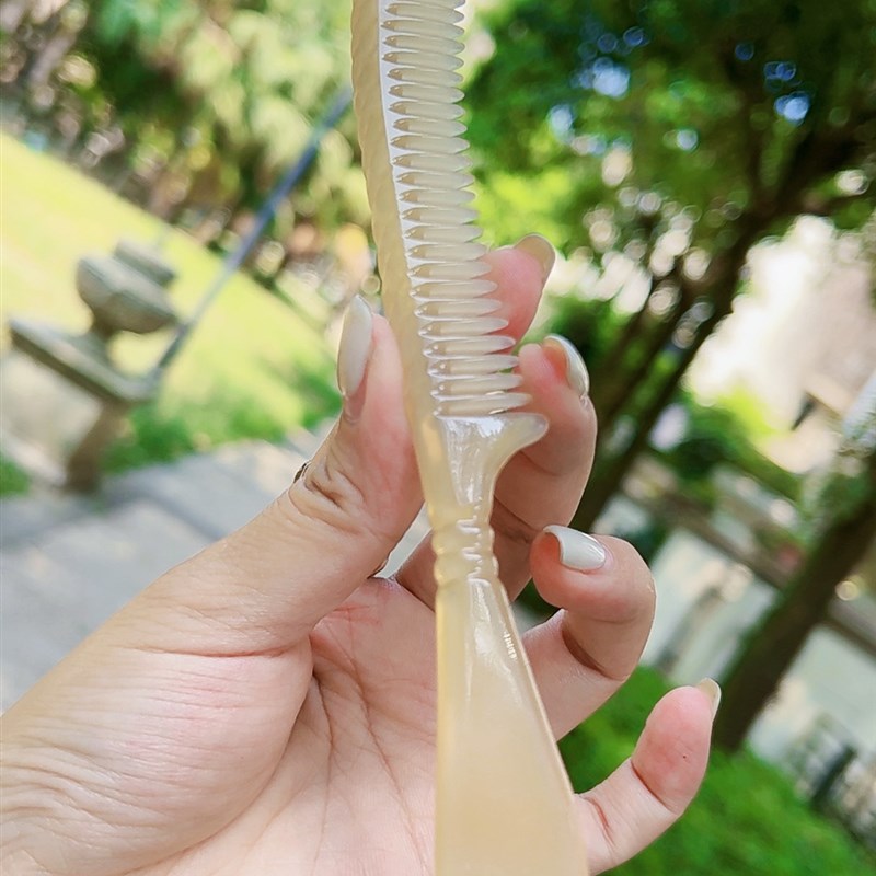 羊角短齿梳梳子疗梳简单梳子大方男士女士儿童宝宝梳子舒服