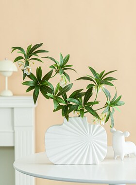 客厅级感软绿植水石榕仿真瓶电视酒柜玄关