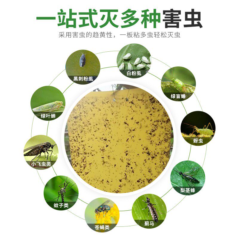 面诱虫板黄板粘纸粘虫果园小黑飞飞虫农用大棚蓟马粘虫板粘蝇纸
