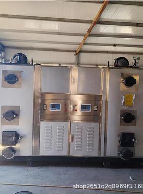 恒 洗蒸汽发生器 豆腐衣1.坊贵OHE0T生物质蒸汽锅炉 灭菌罐热源机