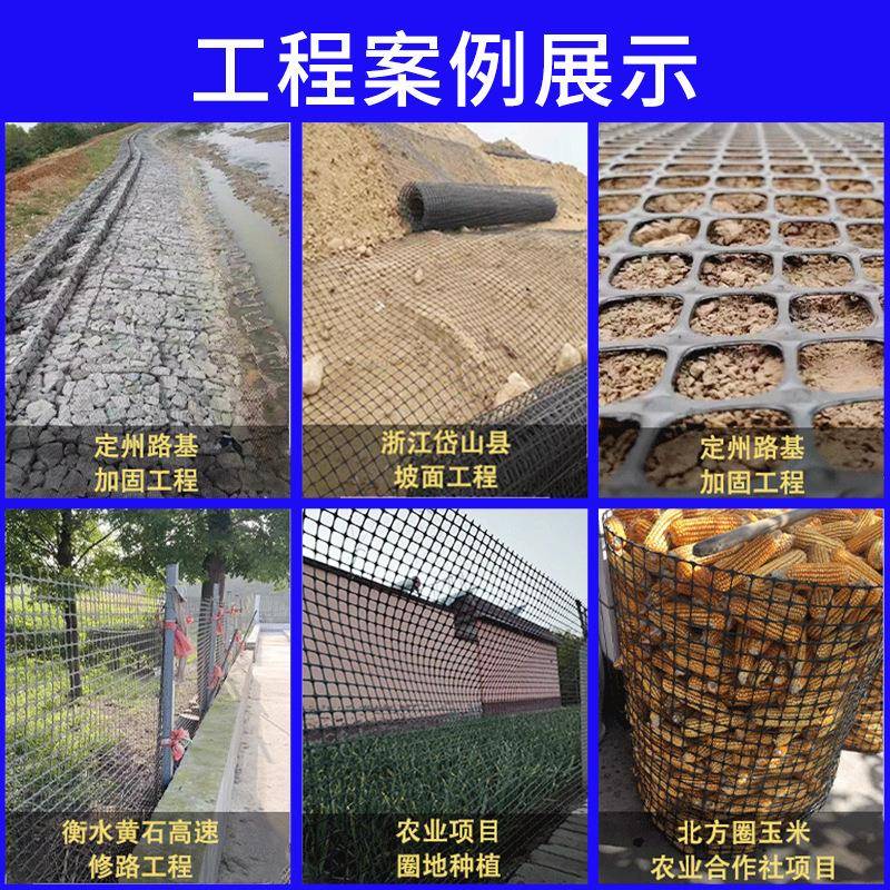 双向YAH塑料土养工格栅板拉围栏路基鸡网殖厂家源头工程专用网建