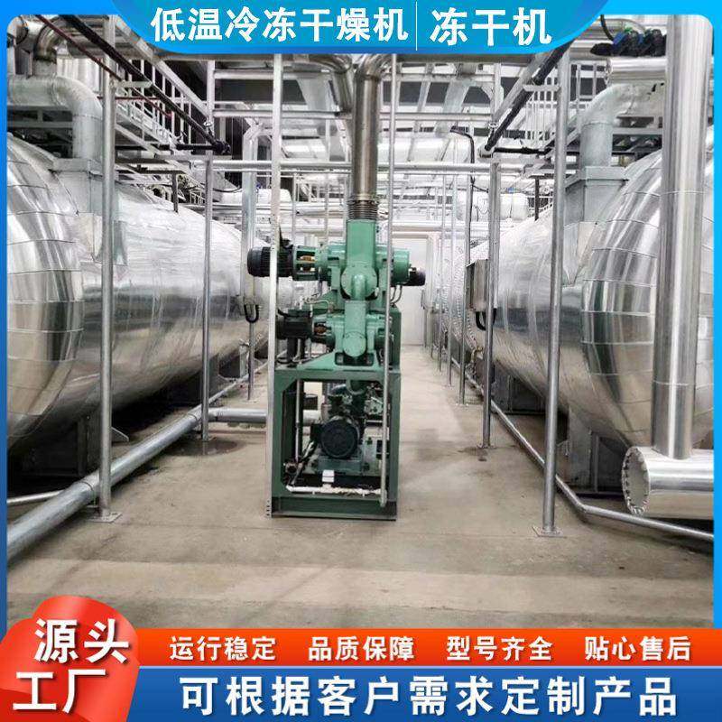 果蔬脆真干机 芦荟粉冷冻干冻燥设机厂空 蓝莓枸杞黄LOO桃脆冻干