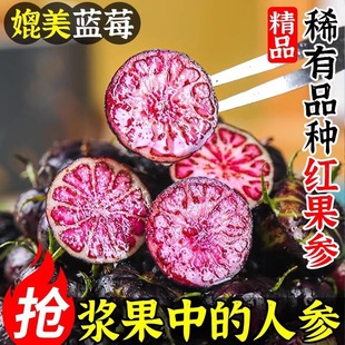 正宗云南红果参新鲜水果高端整箱蜘蛛果高山红参果算盘果当季鲜果