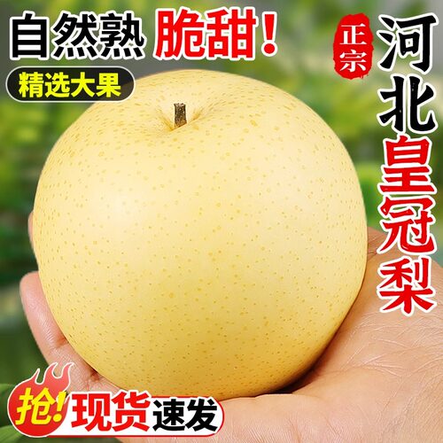 新鲜梨子河北正宗皇冠梨10斤当季水果脆甜多汁白梨整箱包邮雪梨5