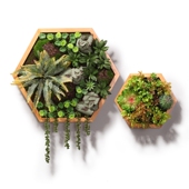 六边形仿真多肉绿植框壁挂奶茶店家居创意绿植挂件墙上装 饰画