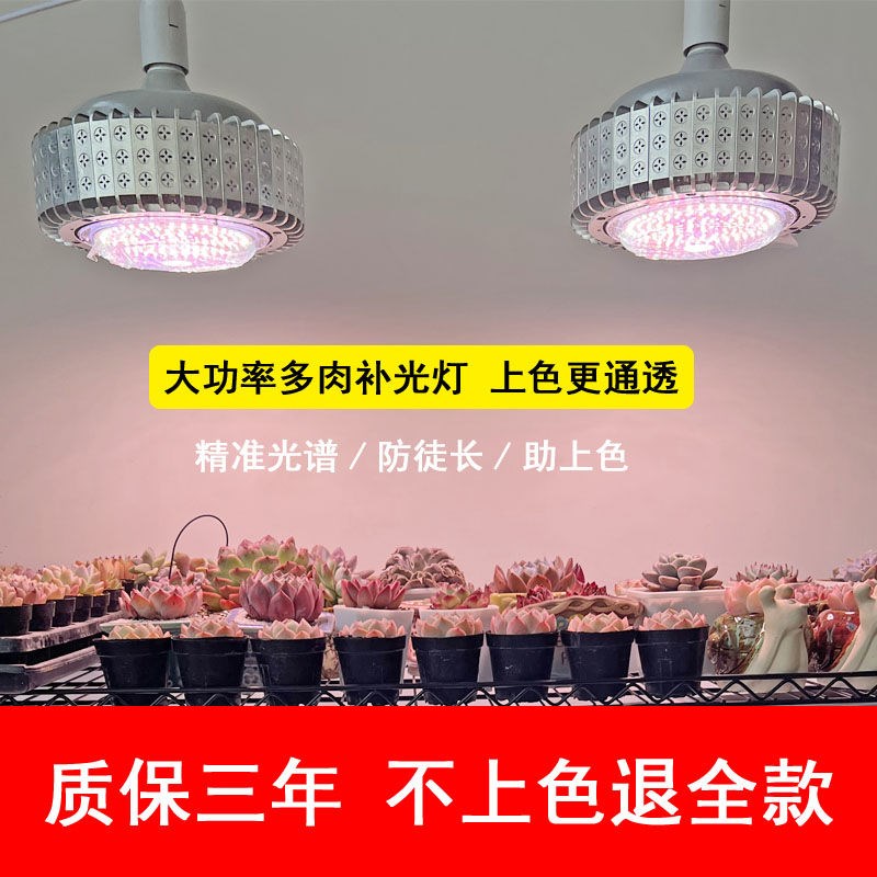 正阳多肉补光灯 上色防徒室内卉 绿植生长灯大棚全光谱