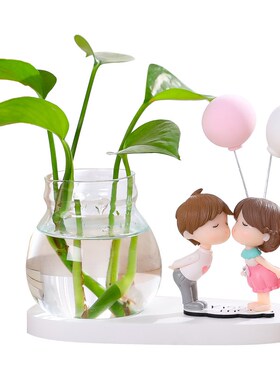 爱女家居办公室酒柜房间卧室装饰品小摆设绿萝水培