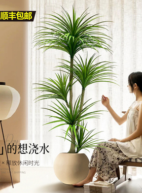 仿真绿植龙血树室内大型假龙须树龙铁树客厅饰落地