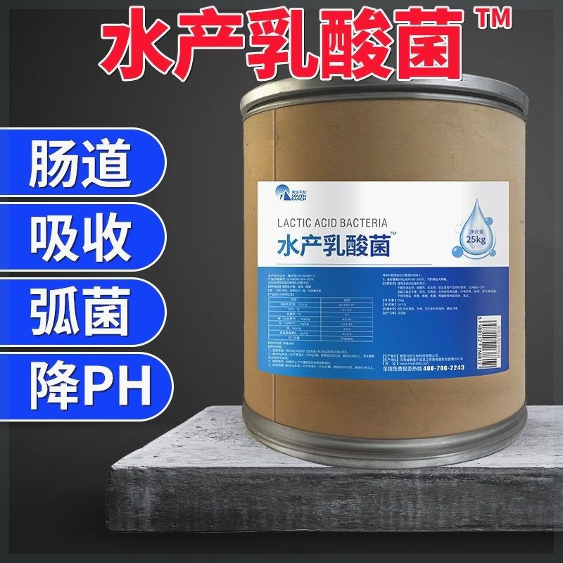 水产乳酸菌浓缩粉控制弧菌降值水产养殖降亚盐氨氮浓缩乳酸菌粉