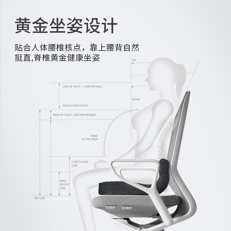 坐垫靠垫一体办公室久坐腰靠垫子加厚椅垫孕妇美臀腰垫屁股垫