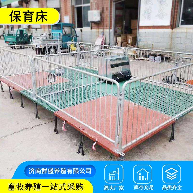 保育带加热保温板复合保育床 复合加重漏粪板母猪产床养猪设备