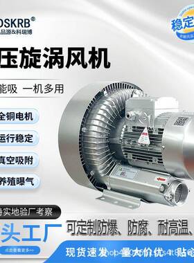 双叶轮旋涡气泵RB-520-H46/3KW污水处理设备负压搬运高压鼓风机