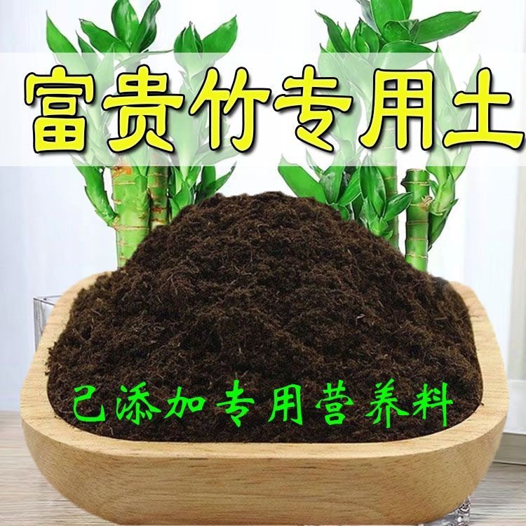 富贵竹适用营养土养花种绿植发酵育苗土盆栽有机肥土透气增肥,农用物资,育苗/栽培基质,淘宝优惠券,粉丝福利购,淘宝优惠卷