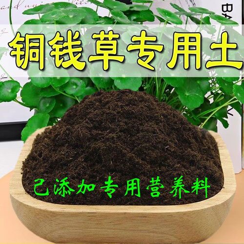 铜钱草适用土营养土通用养花种绿植发酵育苗土有机肥透气增肥