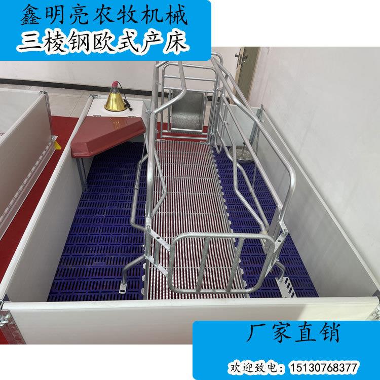 热镀锌热浸锌三棱钢母猪位欧式产床母猪分娩栏
