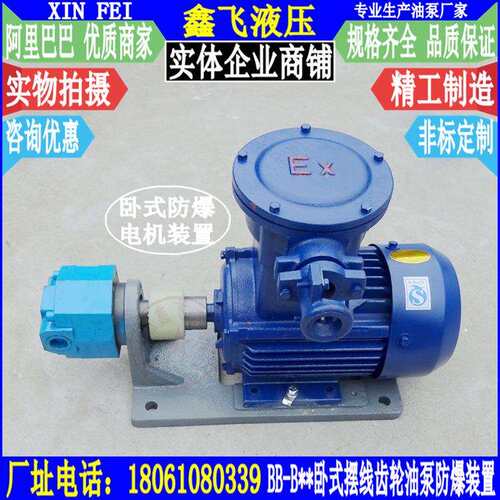 BBG16 BBG20 BBG25 BBG32卧式摆线齿轮油泵防爆电机组合装置