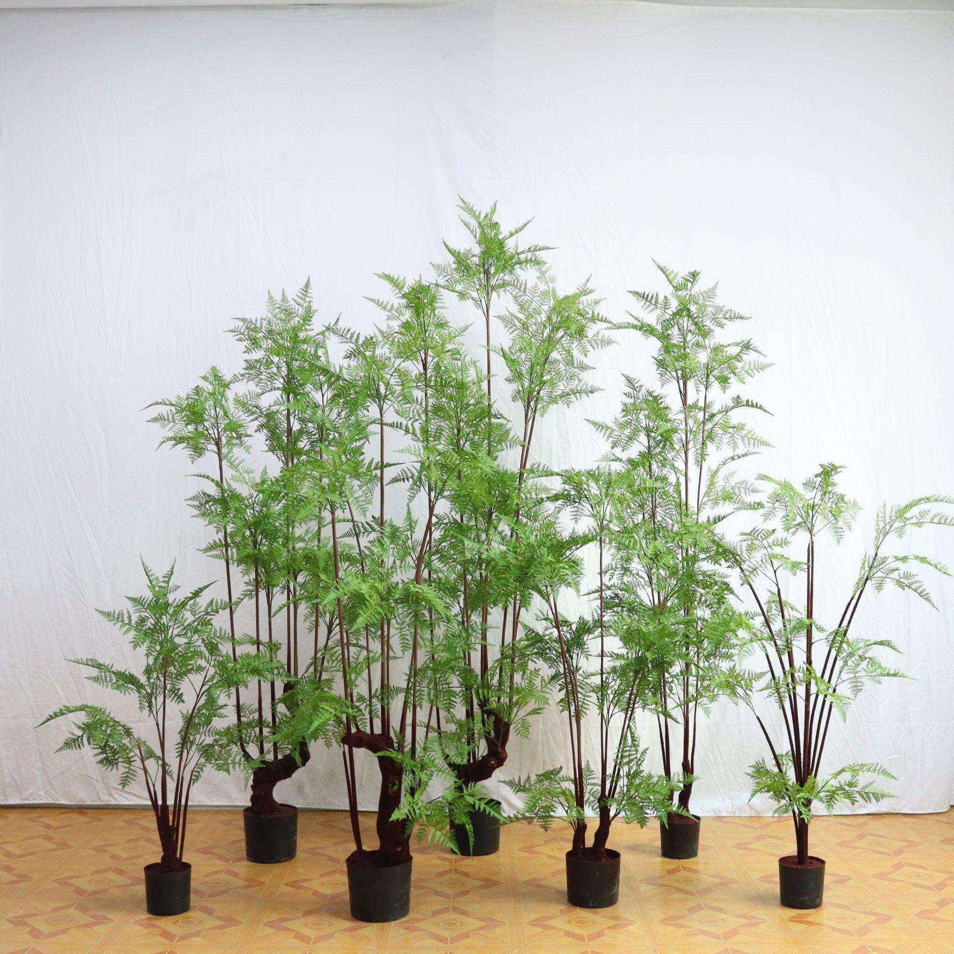 仿真蕨类植物铁线蕨家居橱窗造景装饰摆件落地绿植盆栽厂家