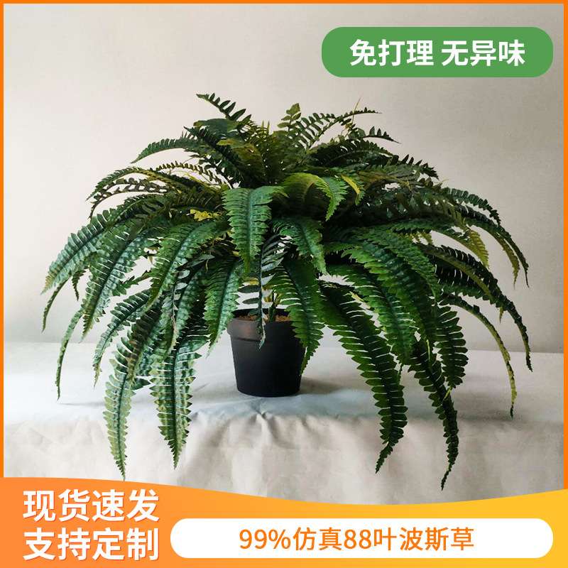 定制仿真植物波斯草88叶家居挂墙装饰蕨草摆件人造蕨类绿植盆景