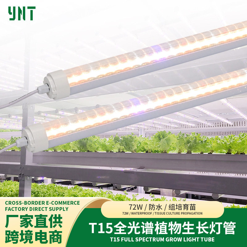 温室大棚led植物灯t15全光谱农场育苗补光灯t20植物生长专用灯