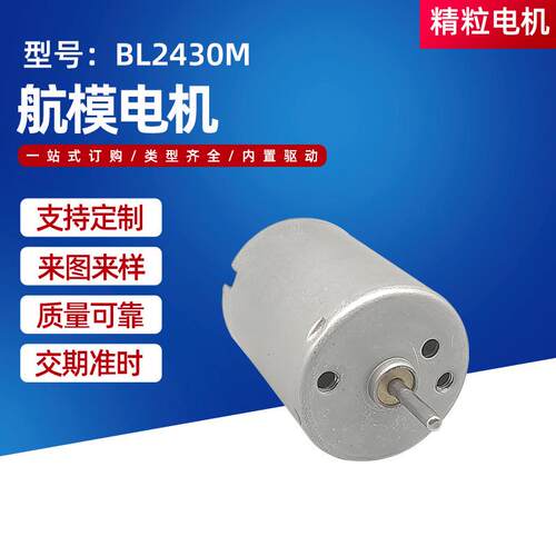 BL2430M无刷航模电机 370直流无刷 气泵电机马达纹身机减速电机