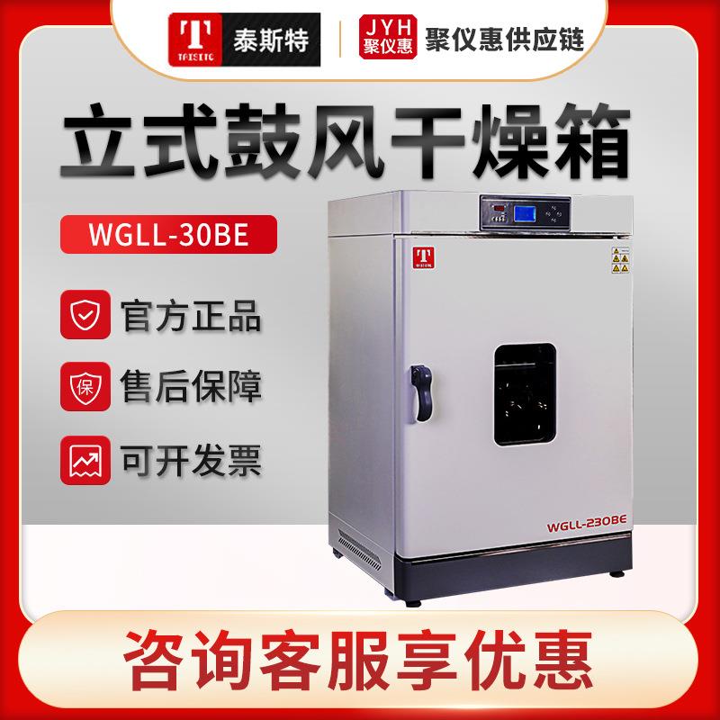 天津WGLL-30BE/45BE/65BE/125BE液晶屏控制立式鼓风干燥箱