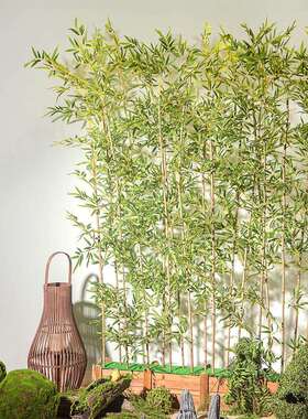 竹子室内装饰假竹子隔断挡墙绿植盆栽摆件大型植物室外盆景