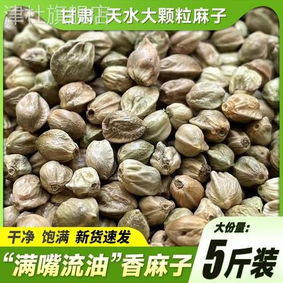 甘肃天水特产熟麻子包邮五香大粒火麻子新货人吃包邮现炒生麻籽